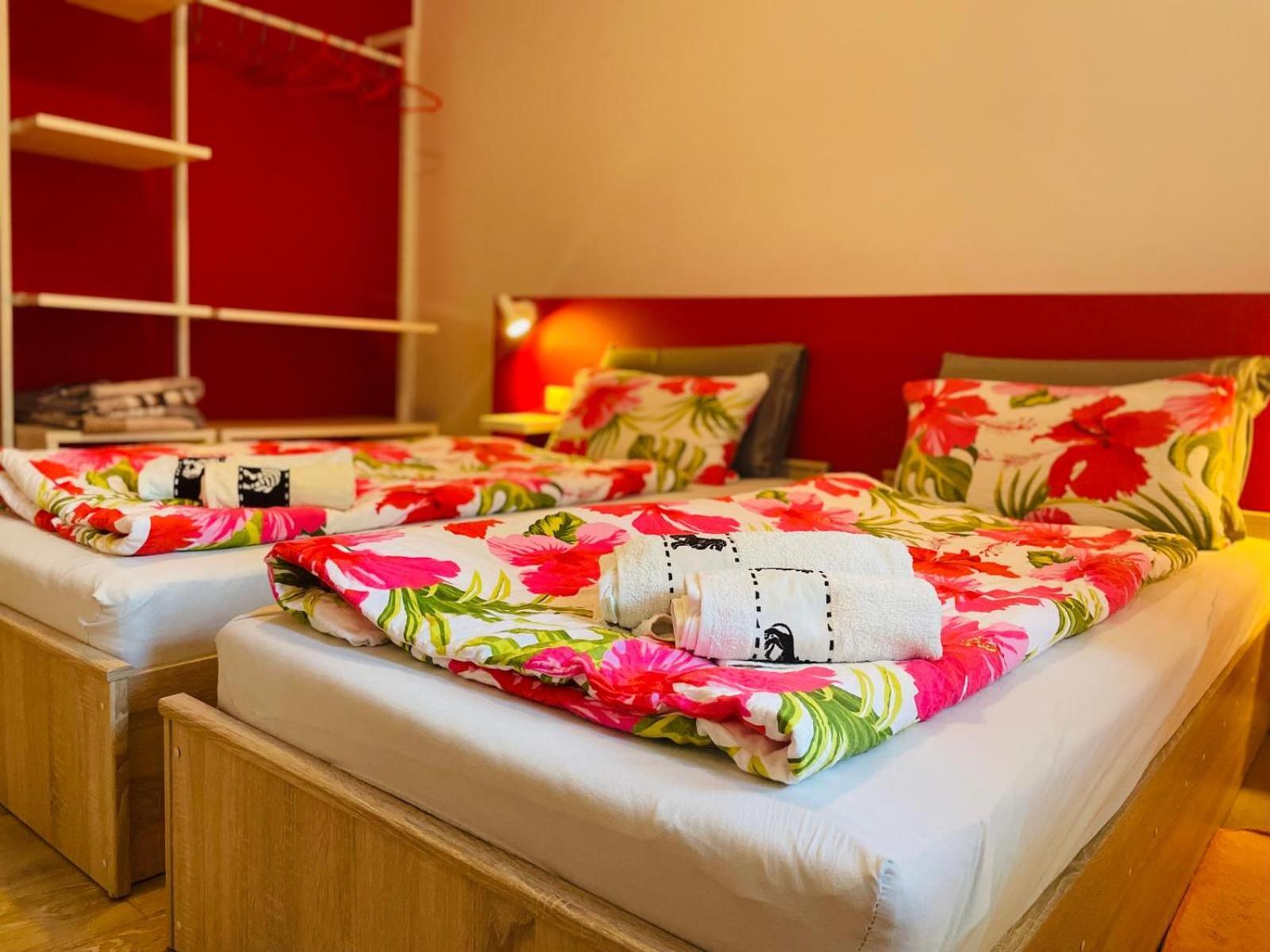 Boutique Apartment With Private Pool For Your Exclusive Use Novigrad Istria Eksteriør bilde